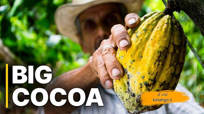 قیمت عادلانه کاکائو