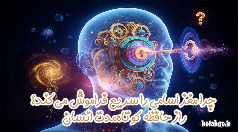 چرا مغز اسامی را سریع فراموش می‌کند؟ راز حافظه کوتاه‌مدت انسان 1